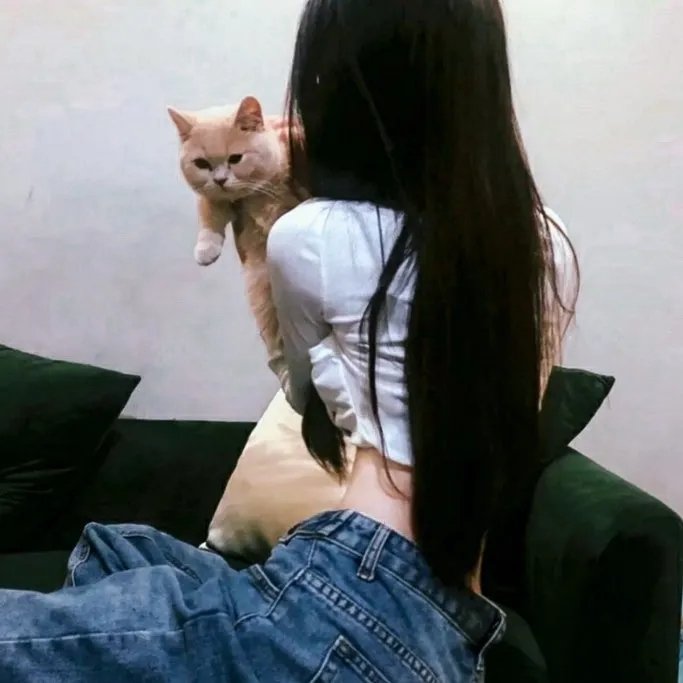 暗香来